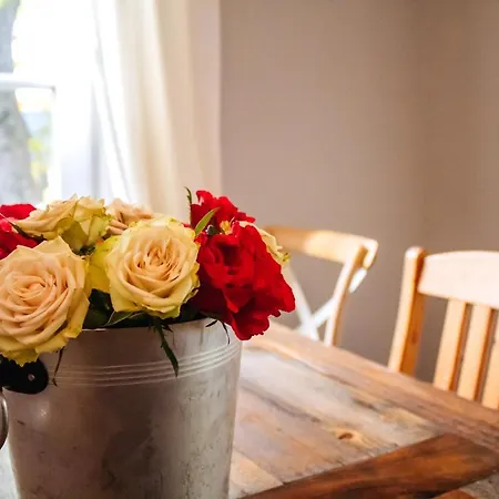 Feriehus Landfein-villa Marathon Winterberg